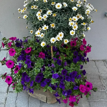Haus Floralp * Zermatt