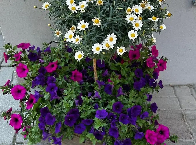 Haus Floralp * Zermatt